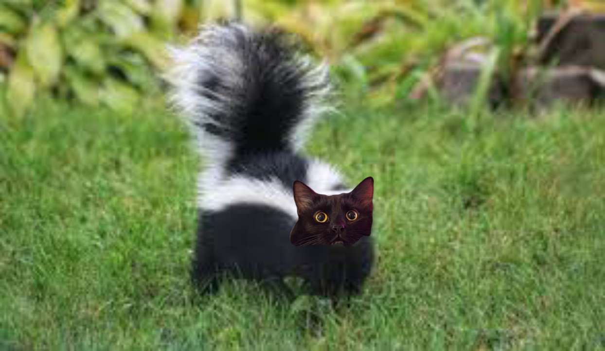 macha1